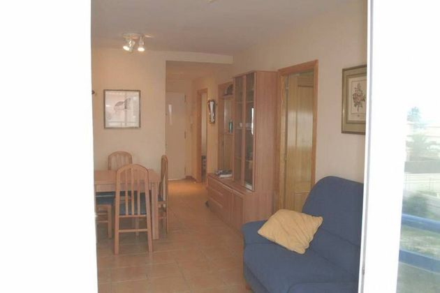 Foto 1 de Piso en venta en Oliva pueblo de 3 habitaciones con terraza y piscina