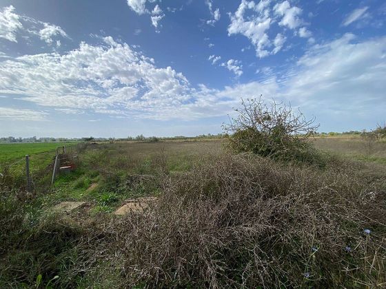 Foto 1 de Venta de terreno en San Roque - Ronda norte de 16651 m²