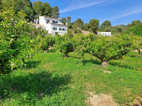 Foto 1 de Chalet en venta en Oliva pueblo de 5 habitaciones con terraza y jardín