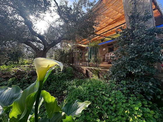 Foto 1 de Casa en venta en Olivenza de 3 habitaciones con piscina y jardín