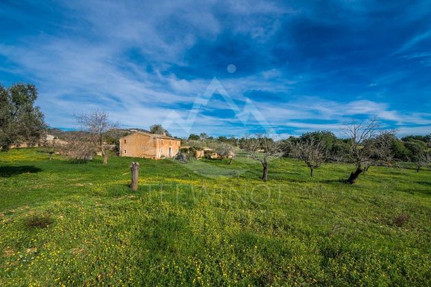 Foto 2 de Casa rural en venda a Sant Llorenç des Cardassar de 3 habitacions amb jardí