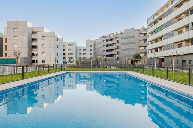 Foto 2 de Pis en lloguer a Parque Cataluña - Cañada - Soto de 2 habitacions amb terrassa i piscina