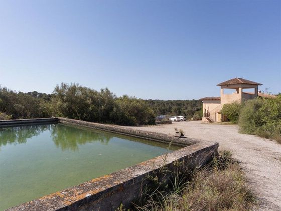 Foto 2 de Casa en venta en Santa Eugènia de 6 habitaciones con terraza y piscina