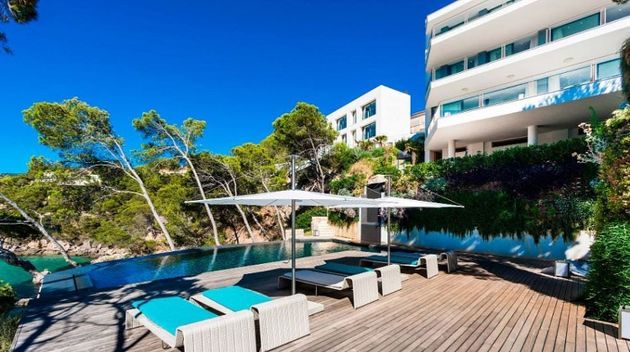 Foto 2 de Casa en venda a Es Camp de Mar de 9 habitacions amb terrassa i piscina