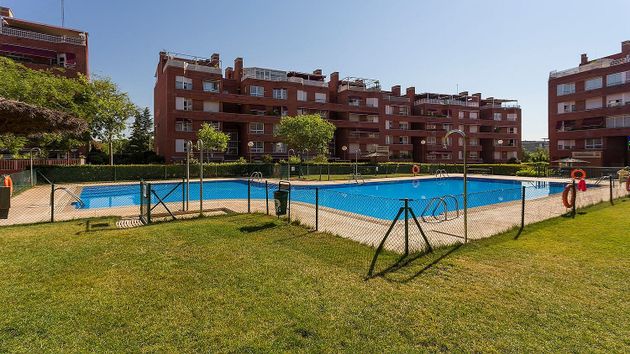 Foto 1 de Pis en venda a Piovera - Conde Orgaz de 1 habitació amb piscina i jardí