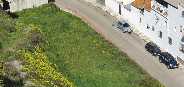 Foto 2 de Venta de terreno en Benamocarra de 1500 m²