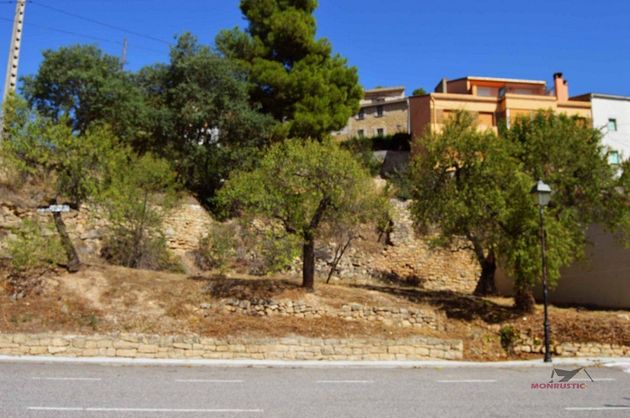 Foto 2 de Venta de terreno en Vallbona de les Monges de 470 m²