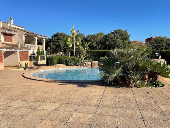 Foto 1 de Àtic en venda a Palmanova de 3 habitacions amb terrassa i piscina