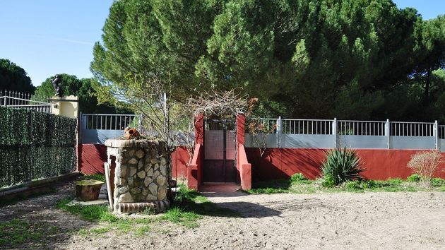 Foto 2 de Venta de terreno en Tudela de Duero de 1830 m²