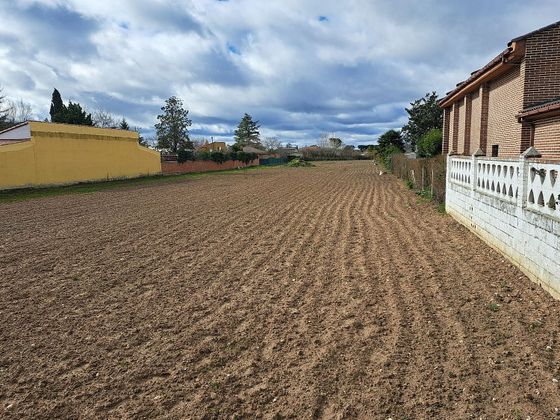 Foto 2 de Venta de terreno en Tudela de Duero de 3890 m²