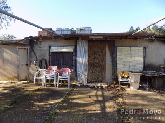 Foto 2 de Casa rural en venta en Montbrió del Camp de 1 habitación y 8000 m²