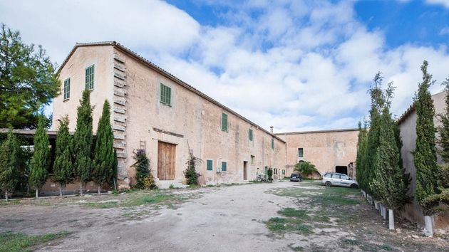 Foto 1 de Casa rural en venta en Sant Jordi - Son Ferriol de 5 habitaciones con terraza y jardín