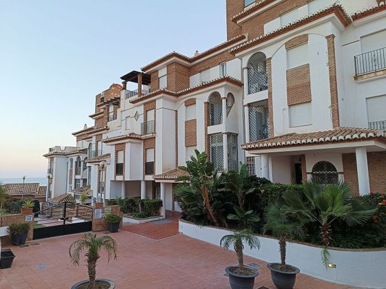 Foto 2 de Pis en venda a calle Av Marina del Este de 2 habitacions amb terrassa i piscina