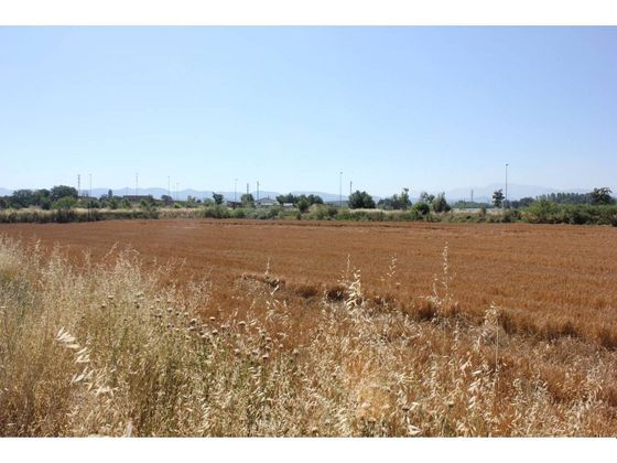 Foto 2 de Alquiler de terreno en Santa Clara-Caputxins-Hospital de 594 m²