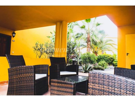 Foto 2 de Pis en venda a Corralejo de 1 habitació amb terrassa i piscina