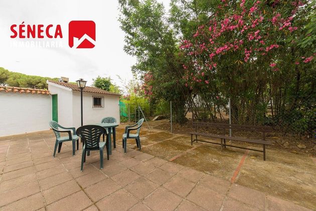 Foto 2 de Xalet en venda a Cerro Muriano de 3 habitacions amb terrassa i piscina