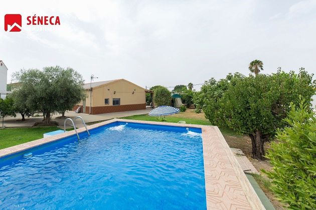 Foto 2 de Venta de chalet en Alcolea de 5 habitaciones con piscina y aire acondicionado