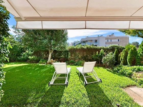 Foto 2 de Pis en venda a calle Mussol de 2 habitacions amb terrassa i piscina