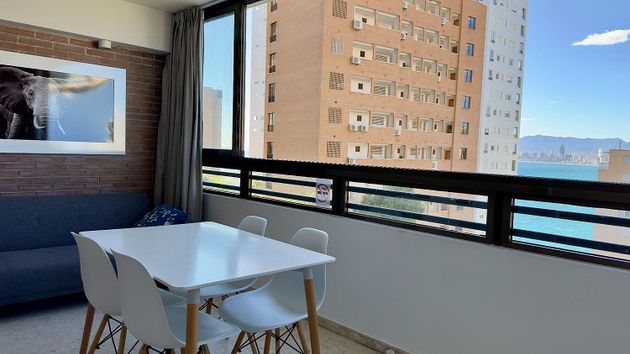 Foto 2 de Pis en lloguer a calle Alcalde Manuel Catalán Chana de 1 habitació amb terrassa i piscina