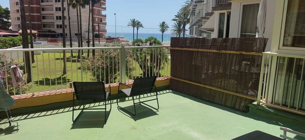 Foto 1 de Pis en venda a Zona Playa del Bol - Puerto de 1 habitació amb terrassa i jardí
