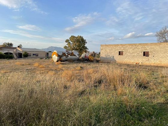 Foto 1 de Venta de terreno en La Hoya-Almendricos-Purias de 5500 m²