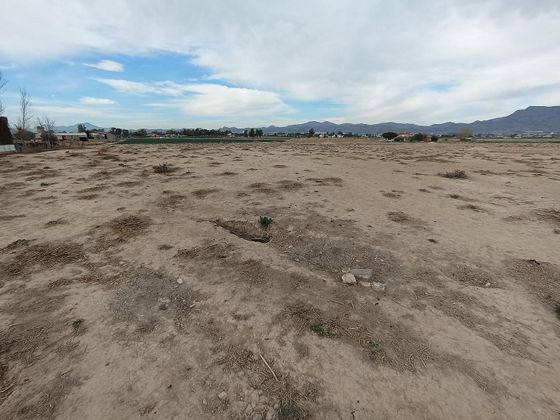 Foto 1 de Venta de terreno en La Hoya-Almendricos-Purias de 5050 m²