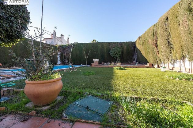 Foto 2 de Xalet en venda a avenida Monteluz de 4 habitacions amb terrassa i piscina