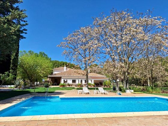Foto 2 de Casa rural en venda a Argamasilla de Calatrava de 5 habitacions amb terrassa i piscina