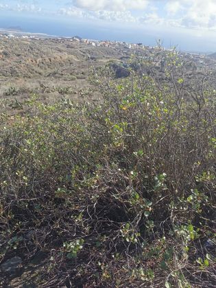Foto 1 de Venta de terreno en Tamaide-El Roque de 13000 m²