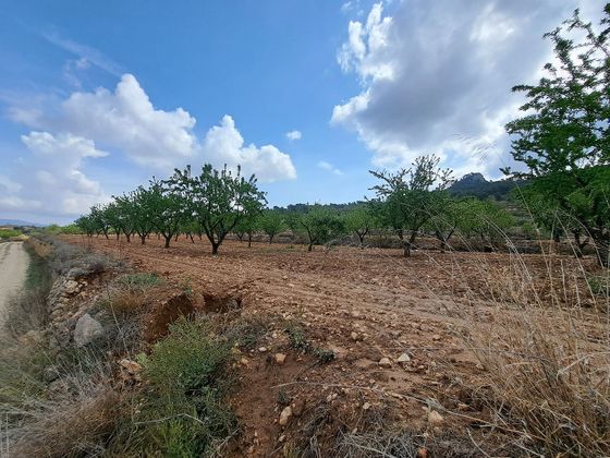 Foto 2 de Venta de terreno en Pinós de 10584 m²