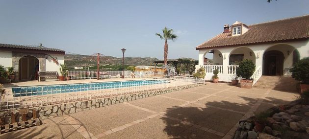 Foto 2 de Venta de chalet en Aspe de 5 habitaciones con piscina y jardín