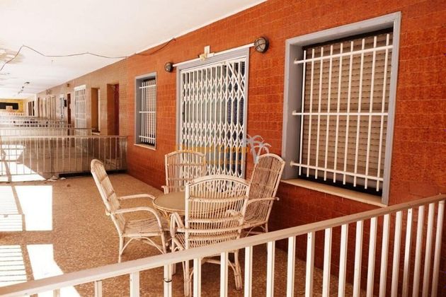 Foto 2 de Venta de piso en Torrelamata - La Mata de 4 habitaciones con terraza