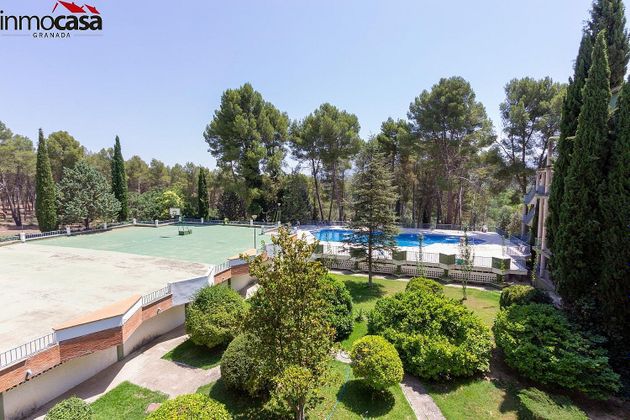 Foto 2 de Pis en venda a ronda De Los Montes de 2 habitacions amb terrassa i piscina