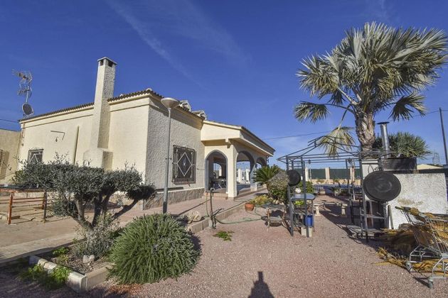 Foto 2 de Casa en venda a La Foia - Daimés - Asprella de 10 habitacions amb piscina i jardí