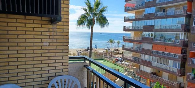 Foto 2 de Pis en lloguer a Playa de los Boliches de 1 habitació amb terrassa i piscina