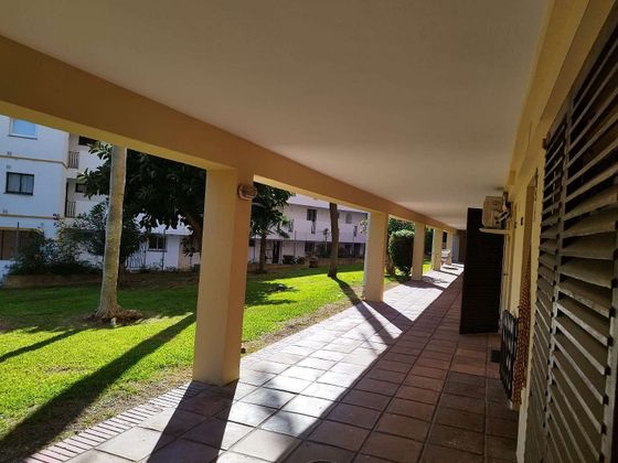 Foto 1 de Alquiler de piso en La Carihuela de 1 habitación con terraza y jardín