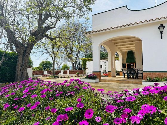 Foto 1 de Casa en venda a calle Borda de 3 habitacions amb terrassa i jardí