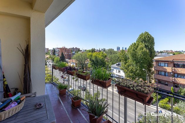 Foto 2 de Piso en venta en Ciudad Jardín de 4 habitaciones con terraza y jardín