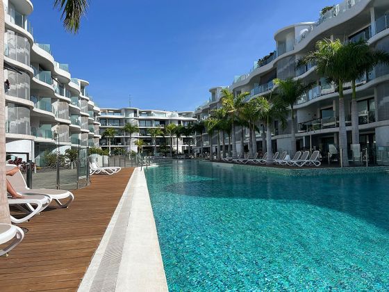 Foto 2 de Pis en venda a avenida El Palmmar de 2 habitacions amb terrassa i piscina