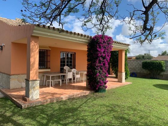 Foto 1 de Casa rural en lloguer a Ctra Sanlúcar-Zona Cuatro Pinos de 1 habitació amb piscina i jardí