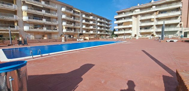 Foto 1 de Pis en venda a Els Pins de 2 habitacions amb terrassa i piscina