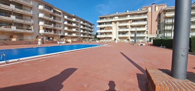 Foto 2 de Pis en venda a Els Pins de 2 habitacions amb terrassa i piscina
