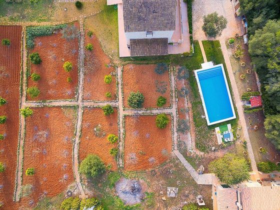 Foto 2 de Casa rural en venda a Sencelles de 7 habitacions amb terrassa i piscina