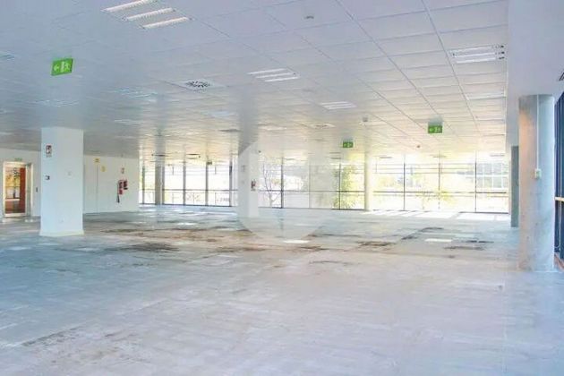 Foto 2 de Alquiler de oficina en Las Tablas de 1365 m²