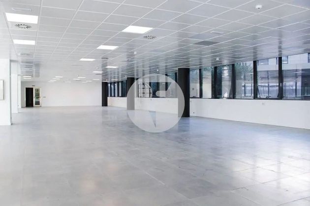 Foto 2 de Alquiler de oficina en Las Tablas de 910 m²