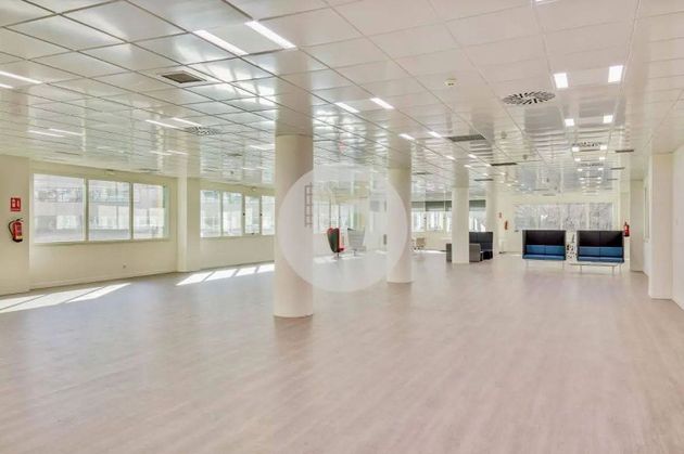 Foto 1 de Alquiler de oficina en Virgen del Cortijo - Manoteras de 564 m²