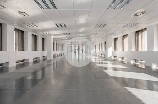 Foto 1 de Alquiler de oficina en Bernabéu - Hispanoamérica de 620 m²