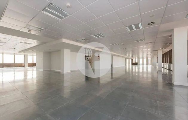Foto 2 de Oficina en lloguer a Bernabéu - Hispanoamérica de 620 m²