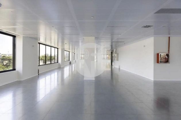 Foto 1 de Oficina en lloguer a Castellana de 1200 m²