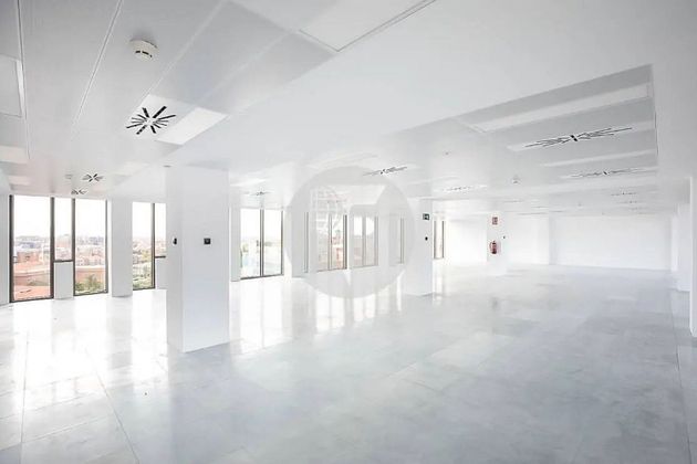 Foto 1 de Oficina en lloguer a Bernabéu - Hispanoamérica de 316 m²